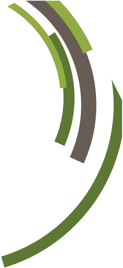 arcs de cercle verte et taupe droit